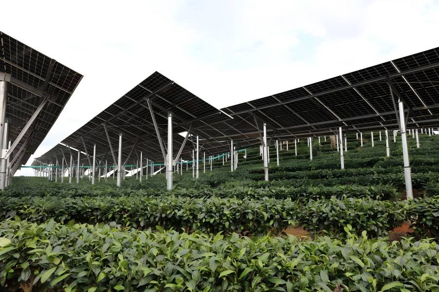 ROGBET荣记集团喜获80MW光伏项目保险性建设指标， 绿色能源发展迈出坚实一步！